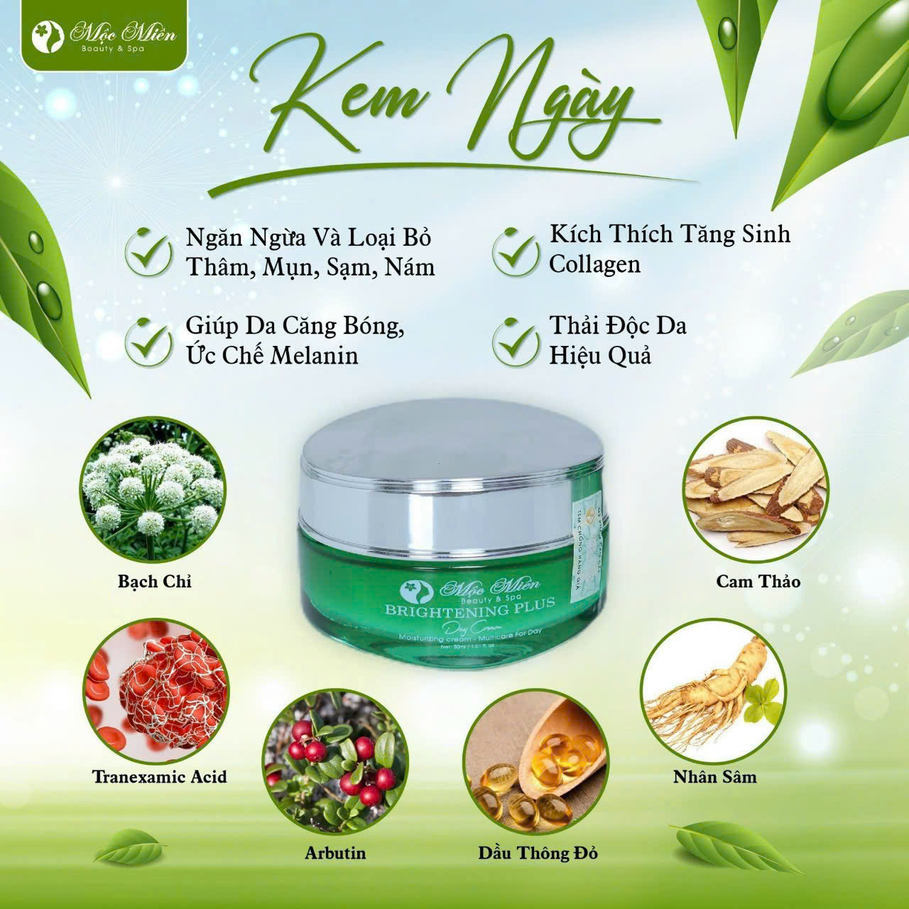  Kem ngày